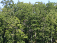 img_4984.jpg